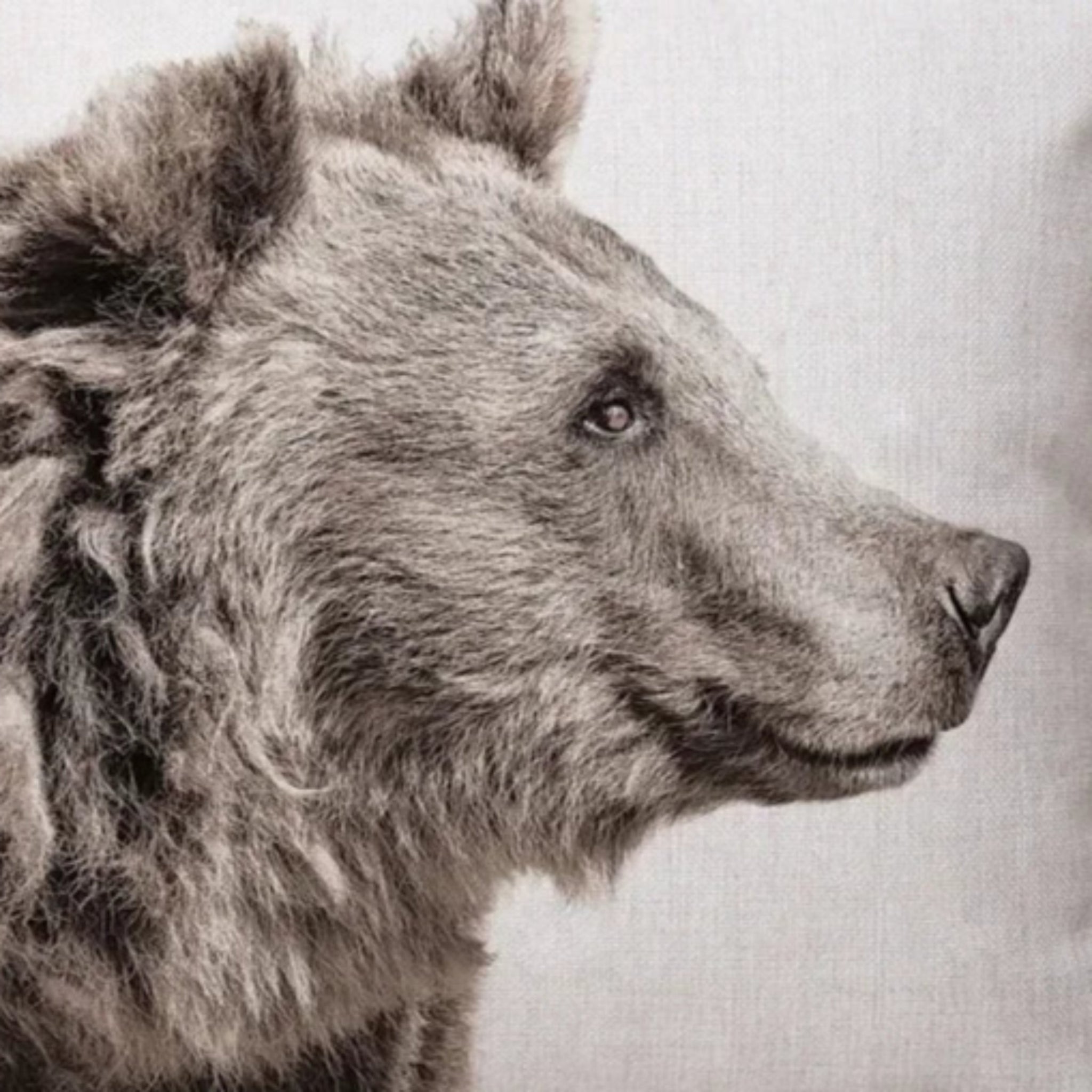 Rustic Bear Pillow Cover Pillow Covers - Pillow Blooms