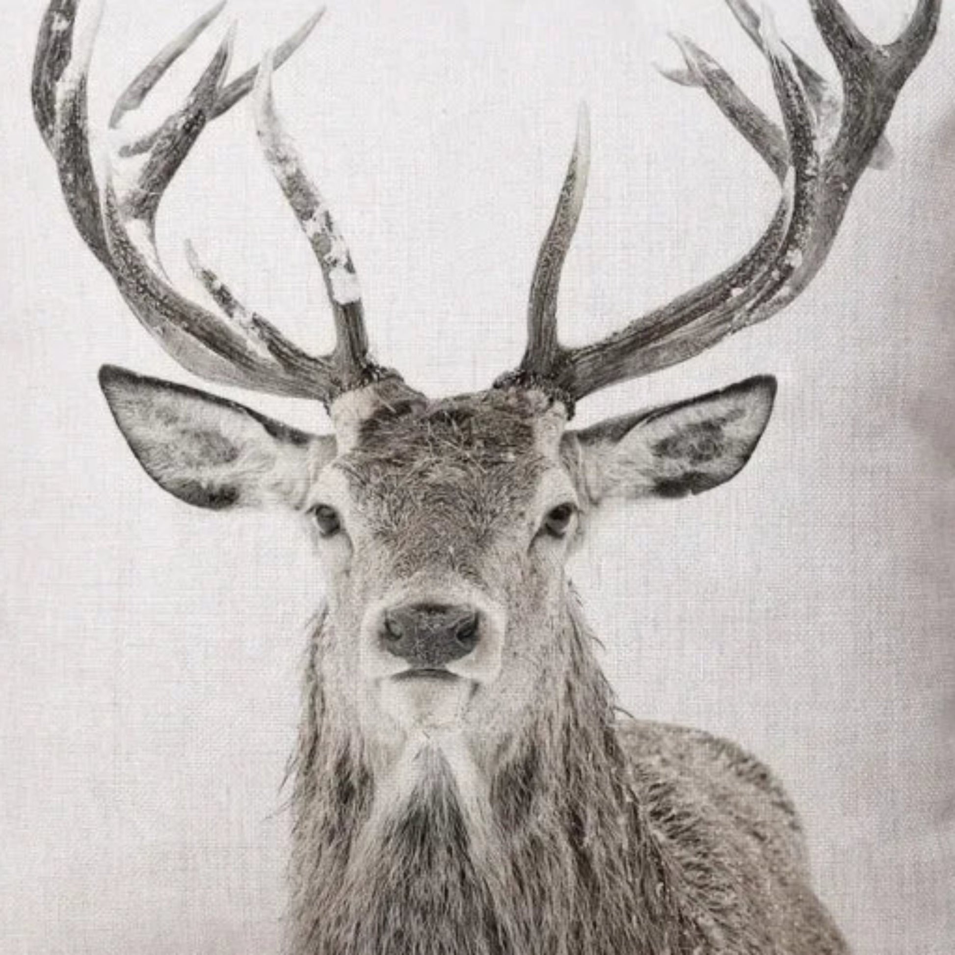 Rustic Deer Pillow Cover Pillow Covers - Pillow Blooms