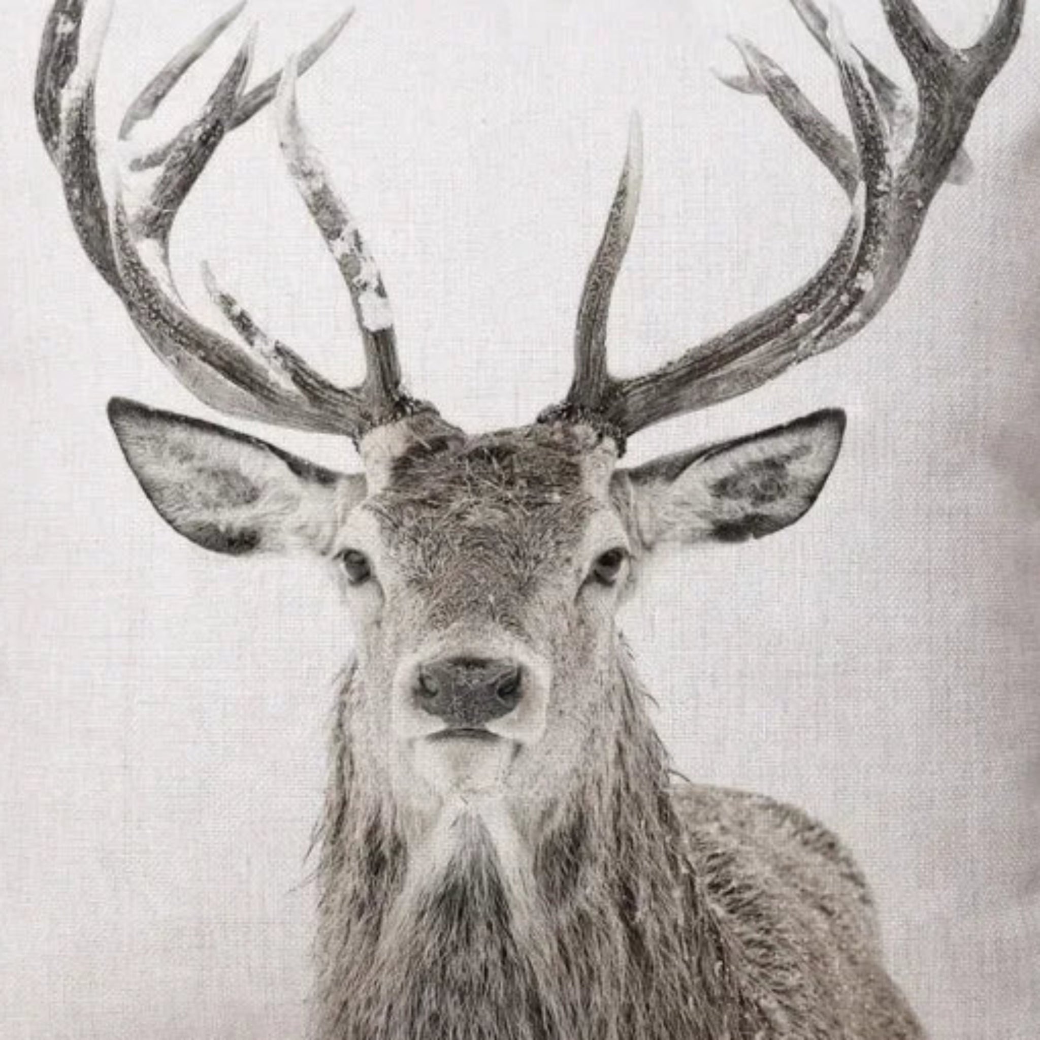 Rustic Deer Pillow Cover Pillow Covers - Pillow Blooms