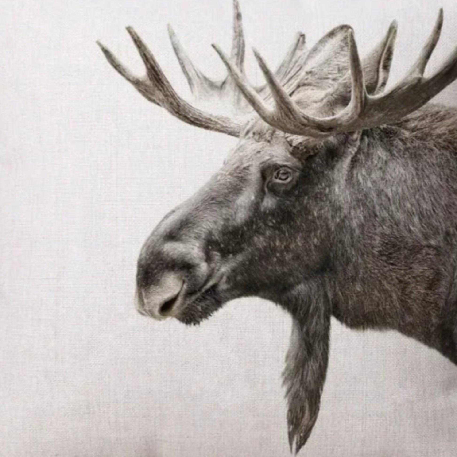 Rustic Moose Pillow Cover Pillow Covers - Pillow Blooms