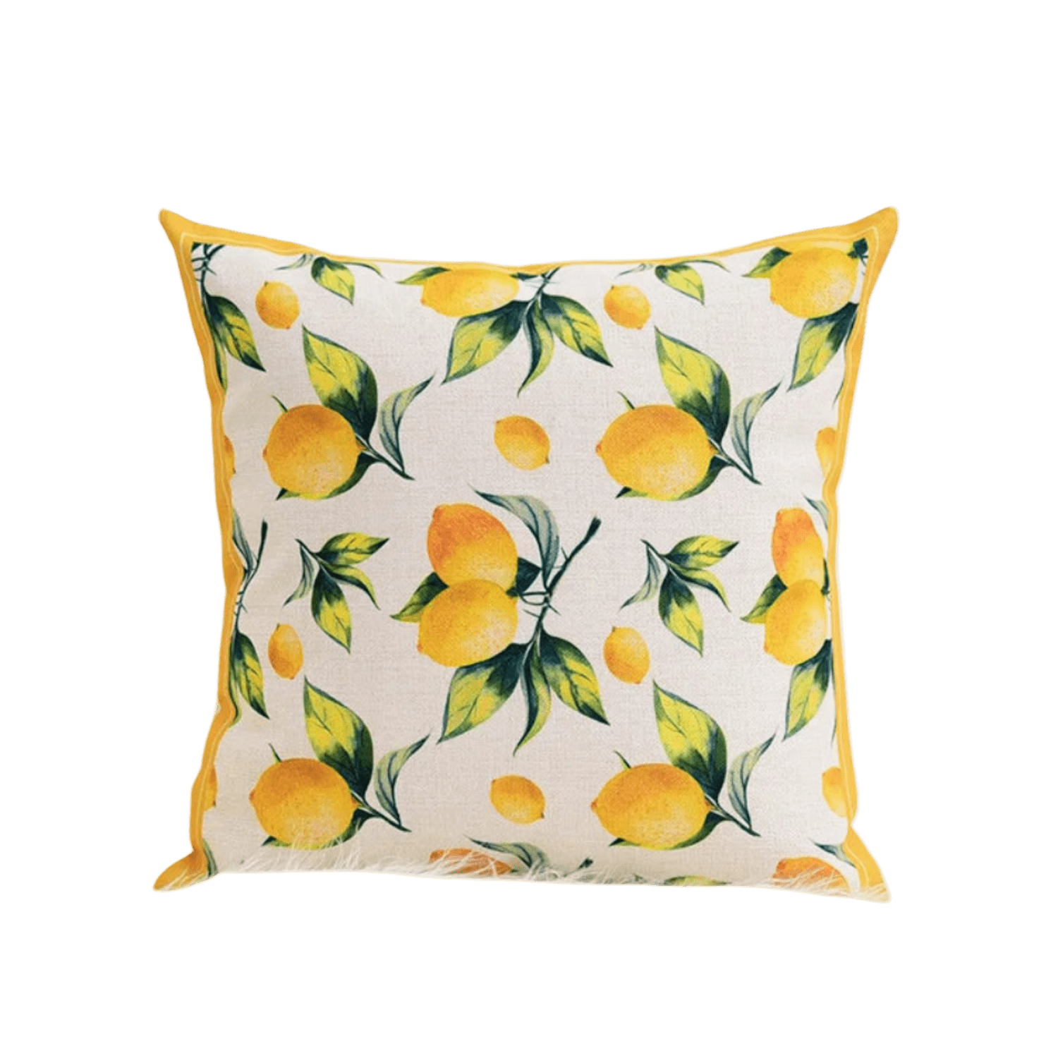 Squeeze the Day Pillow Cover Pillow Covers - Pillow Blooms