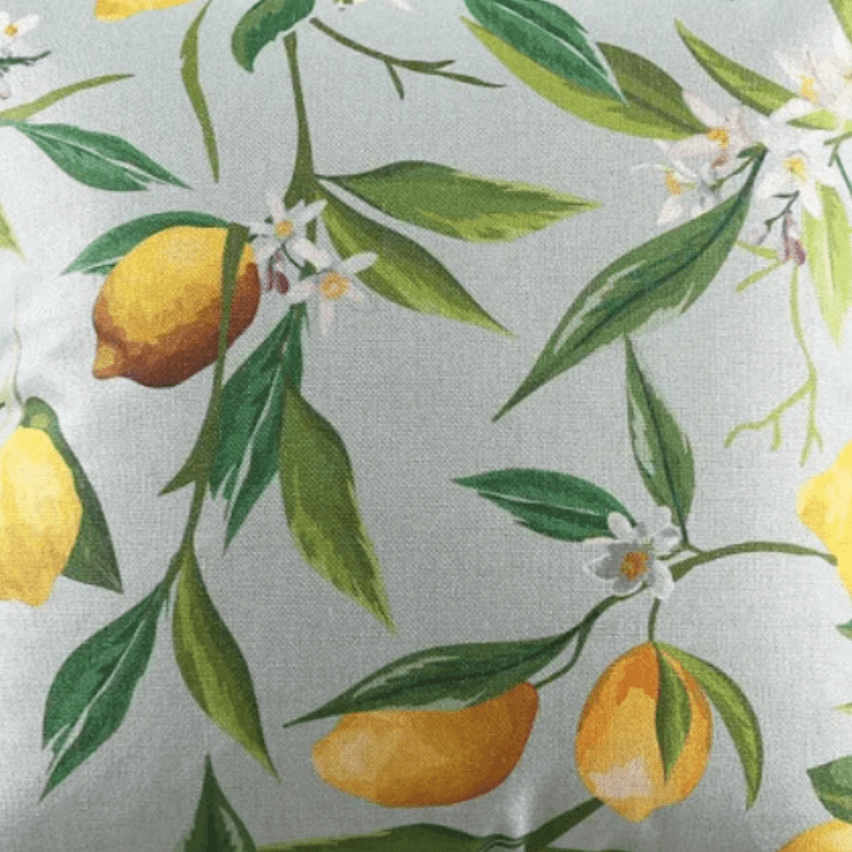 When Life Gives you Lemons Pillow Cover Pillow Covers - Pillow Blooms